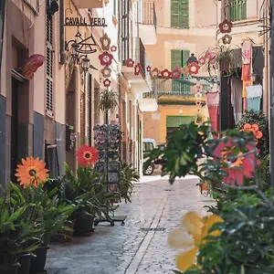 Ca's Cuscanti , Sóller España